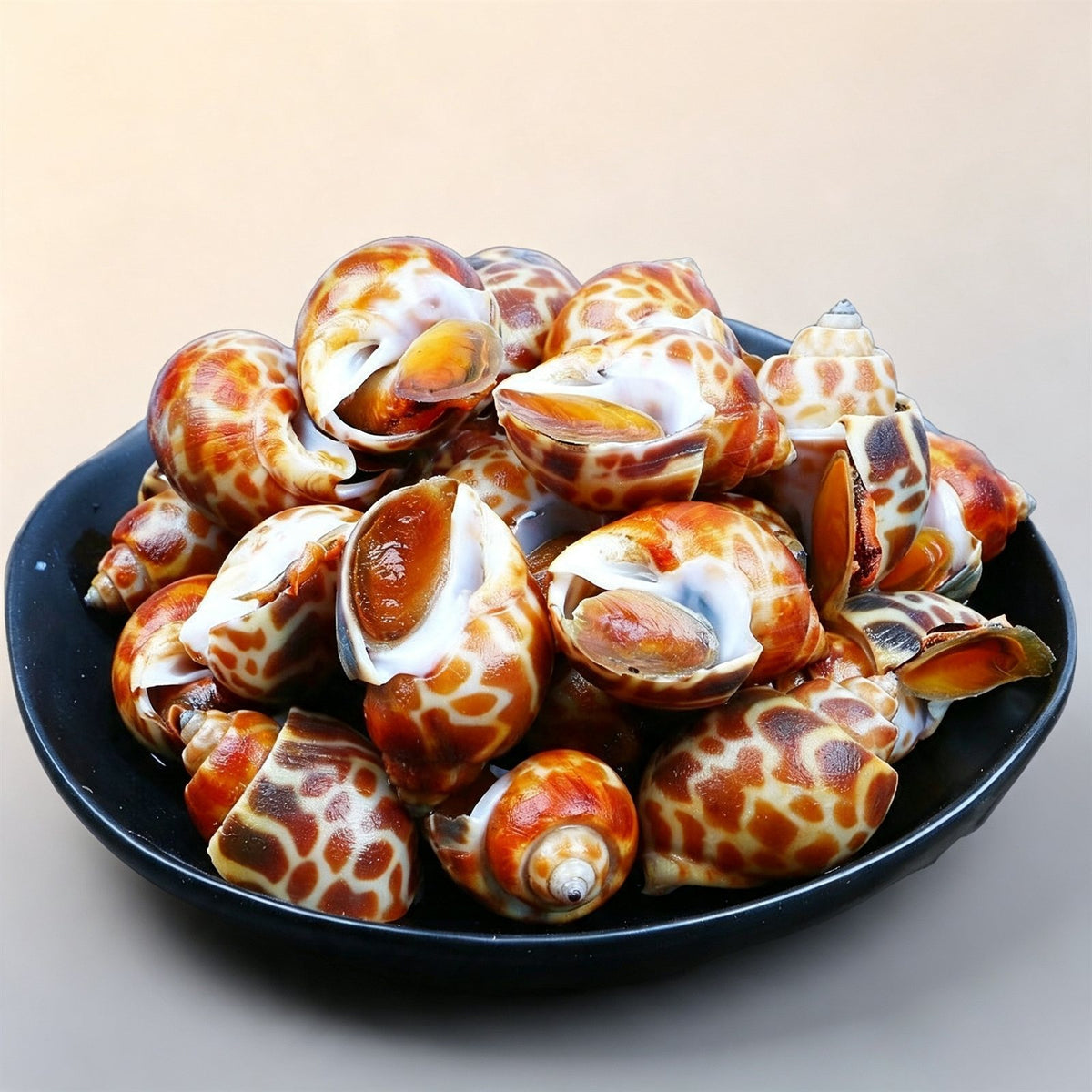 Wild Caught Spotted Babylon Snails