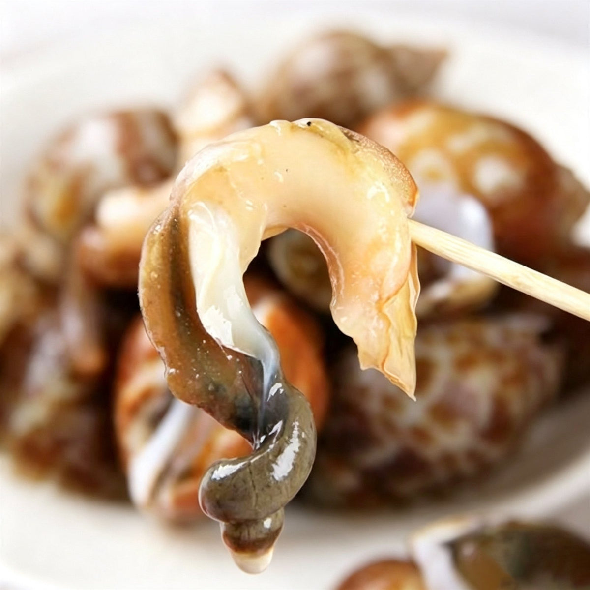 Wild Caught Spotted Babylon Snails